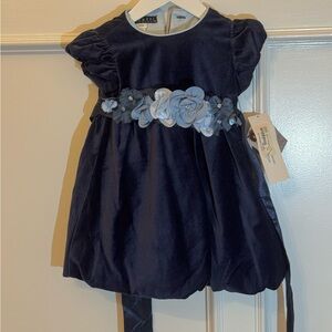 Biscotti Navy Blue Velvet Dress with Floral Accents